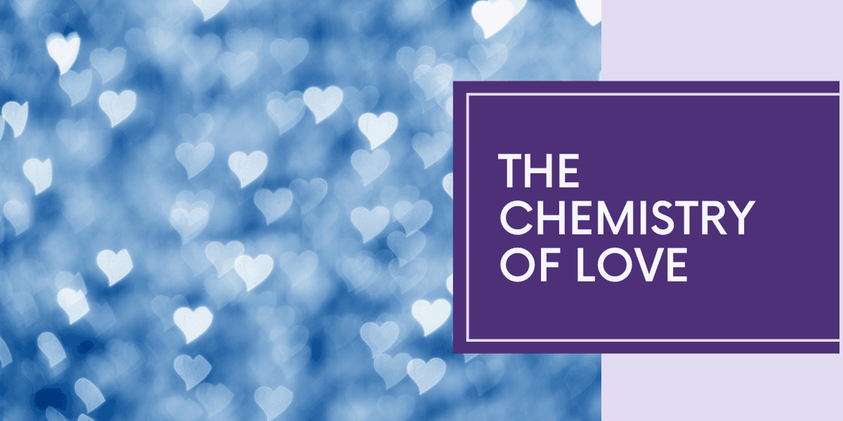 The Chemistry Of Love